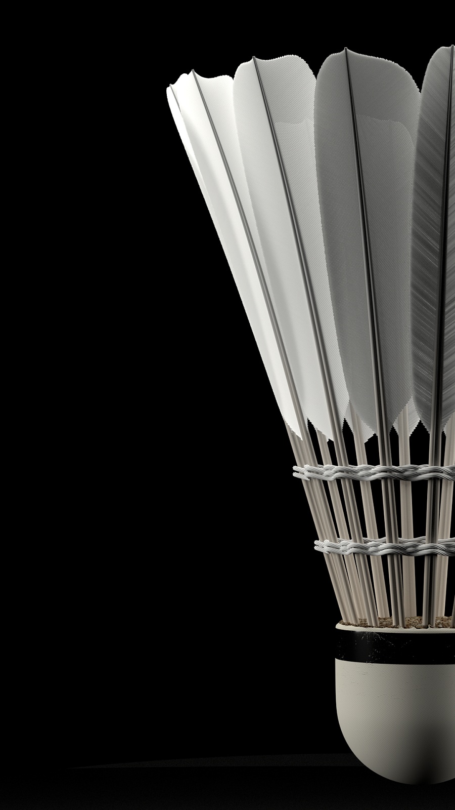 智慧的结晶 智慧的结晶