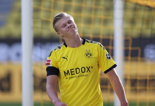 本次引援的 本次引援的